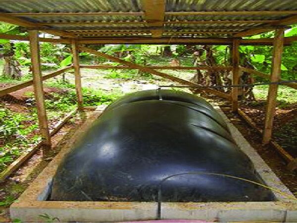 biogasBalloons