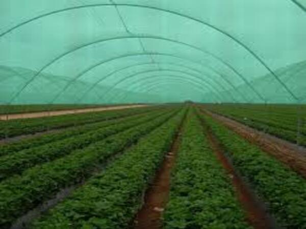 hdpeGeomembraneForGreenHouseFarming
