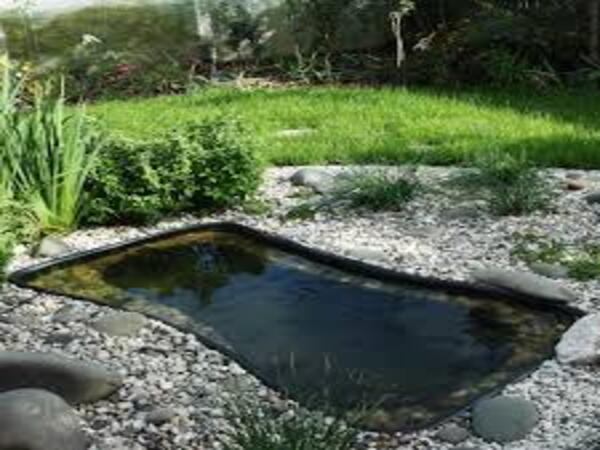 pondLinerPune