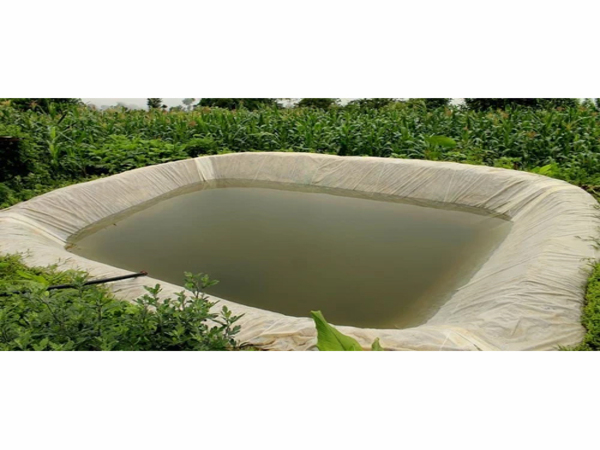 waterHarvesting
