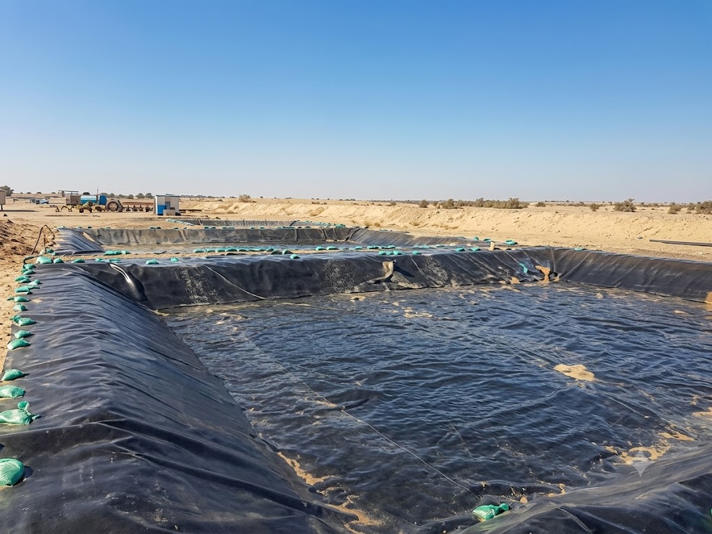 hdpeGeomembraneForChemicalStorageTanks