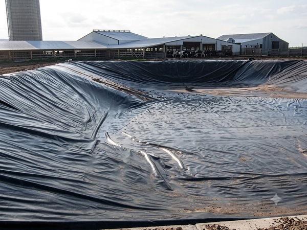 ldpeLandfillMembranes