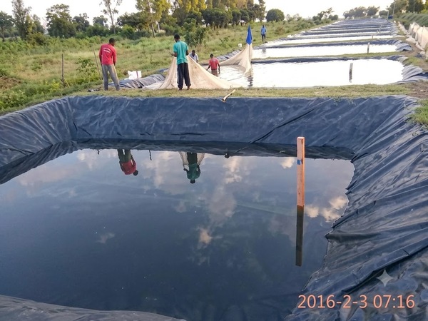 pondLinerShivamogga