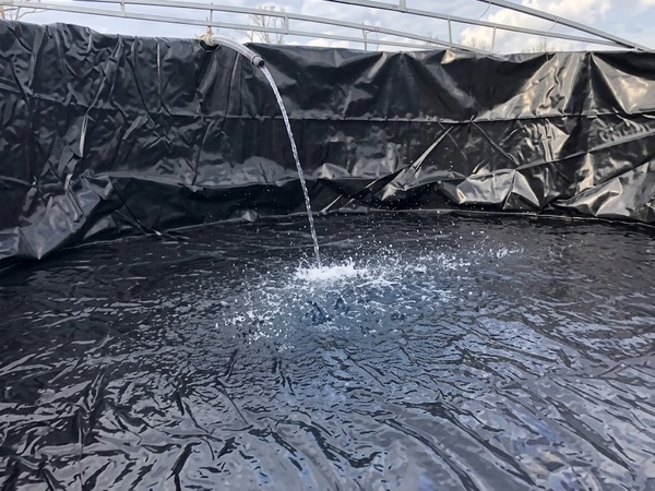 tankLiners